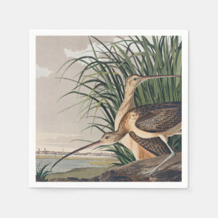 Audubon Long-Billed Curlew Bird Pappersservett