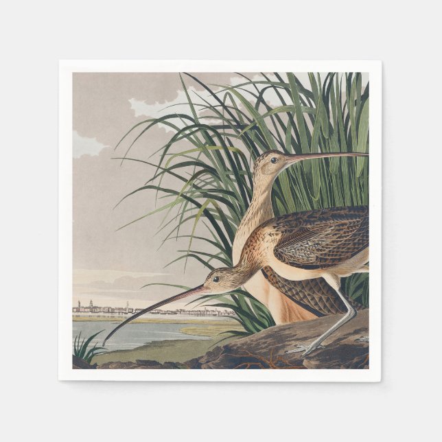 Audubon Long-Billed Curlew Bird Pappersservett (Framsidan)