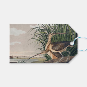 Audubon Long-Billed Curlew Bird Presentetikett