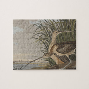 Audubon Long-Billed Curlew Bird Pussel