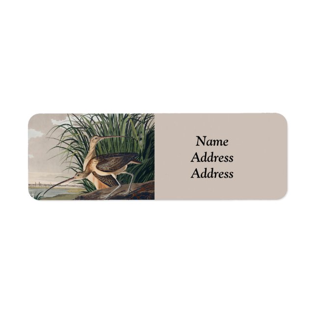 Audubon Long-Billed Curlew Bird Returadress Etikett (Framsidan)