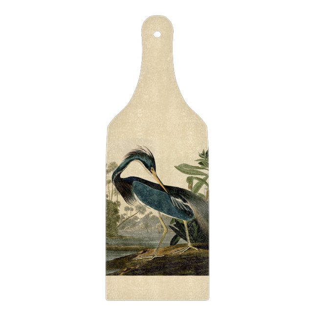 Audubon Louisiana Hägrar Fåglar Amerika Konst (Framsidan)