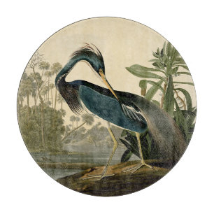Audubon Louisiana Hägrar Fåglar Amerika Konst