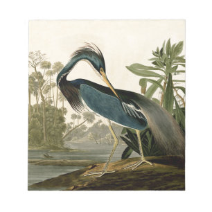 Audubon Louisiana Hägrar Fåglar Amerika Konst Anteckningsblock