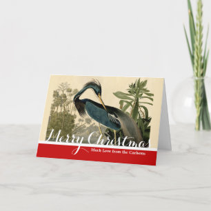 Audubon Louisiana Hägrar Fåglar Amerika Konst Helgkort