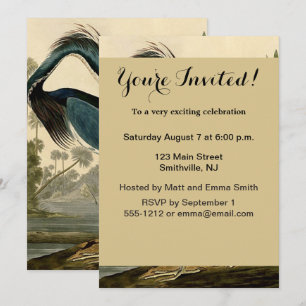Audubon Louisiana Hägrar Fåglar Amerika Konst Inbjudningar