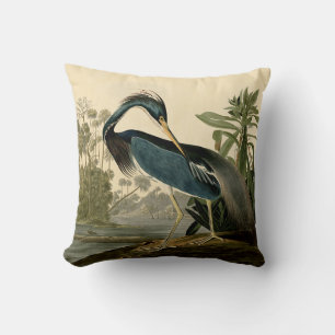 Audubon Louisiana Hägrar Fåglar Amerika Konst Kudde