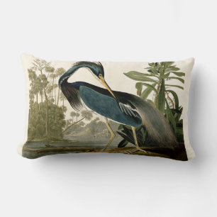 Audubon Louisiana Hägrar Fåglar Amerika Konst Lumbarkudde