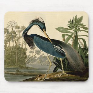Audubon Louisiana Hägrar Fåglar Amerika Konst Musmatta