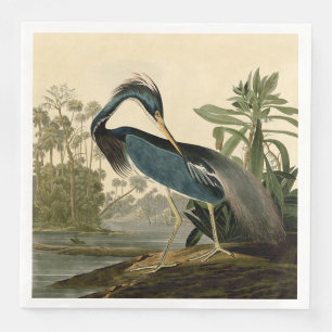 Audubon Louisiana Hägrar Fåglar Amerika Konst Pappersservett