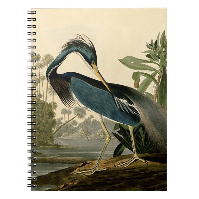 Audubon Louisiana Heron Birds America Art Anteckningsbok Med Spiral (Framsidan)