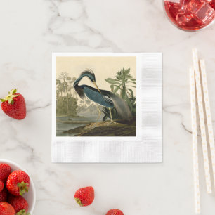 Audubon Louisiana Heron Birds America Art Pappersservett