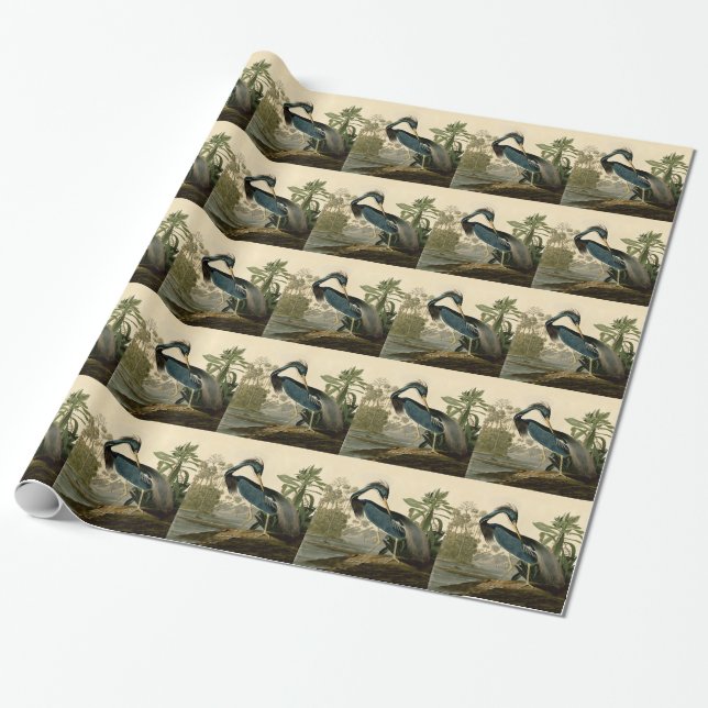 Audubon Louisiana Heron Birds America Art Presentpapper (Utrullad)