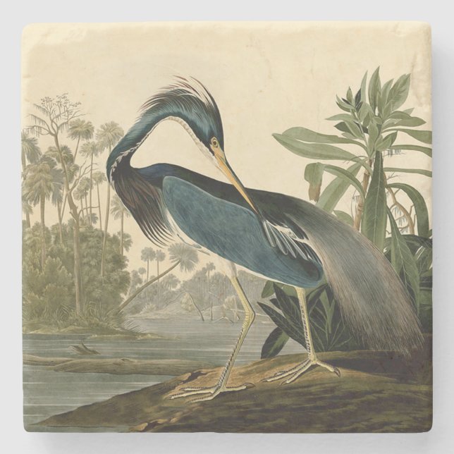 Audubon Louisiana Heron Birds America Art Stenunderlägg (Framsidan)