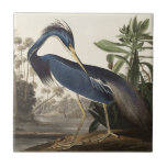 Audubon Louisiana Heron Birds of America Art Print Kakelplatta<br><div class="desc">Audubon Birds - Louisiana Heron - Birds of America Denna häpnadsväckande litografi av Louisiana Heron av John James Audubon är ett av de vackraste delarna från hans amerikanska fågel. I texten återges en vacker, blå hjorden vid kant i en vattenväg, omgiven av handflatan träd i vilden Louisiana-landskapet. Louisiana Heron fångas...</div>