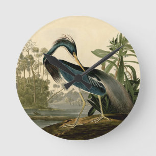 Audubon Louisiana Heron Rund Klocka