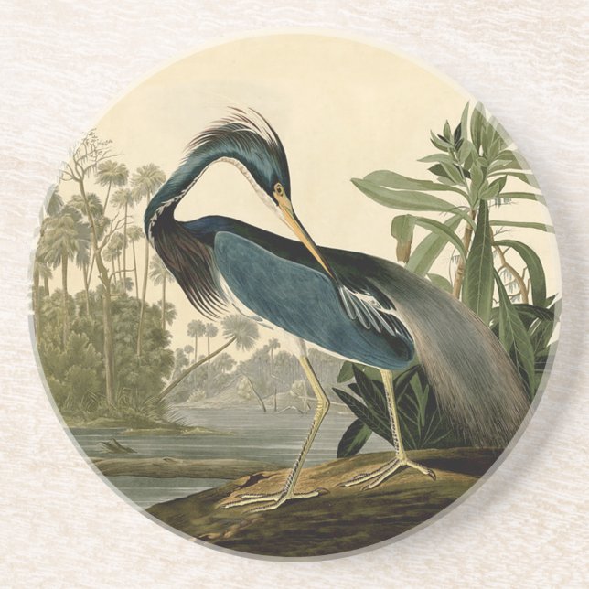 Audubon Louisiana Heron Underlägg (Framsidan)