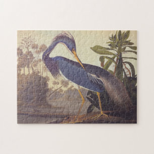 Audubon Lousiana Heron på Marsh Land vid kusten Pussel