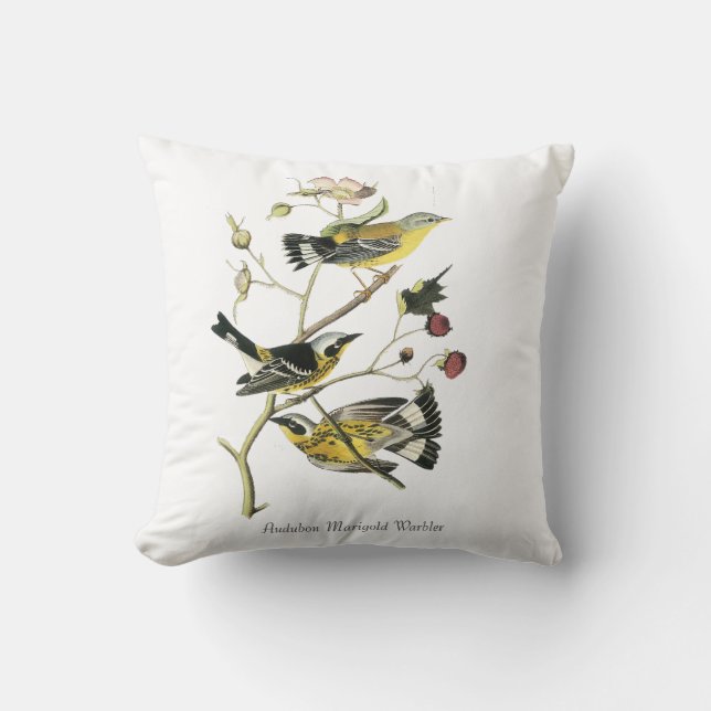 Audubon Marigold Sångare Kudde (Framsida)
