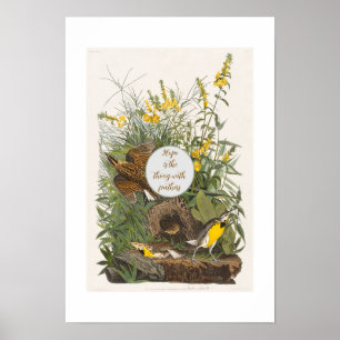 Audubon Meadowlark Botanical Print Poster