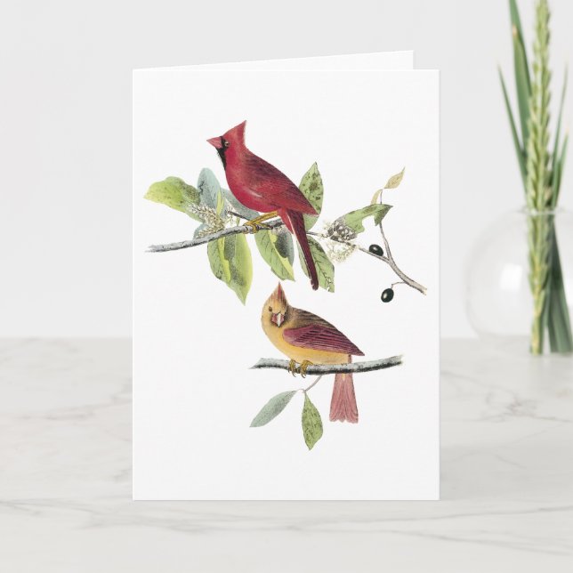 Audubon nordlig kardinal kort (Framsida)