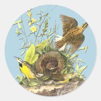Audubon Östra Meadowlark Bird Art Stickers Runt Klistermärke