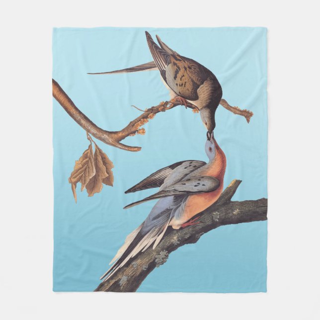 Audubon Pair Kissing Passenger Pigeons Fleecefilt (Framsidan)