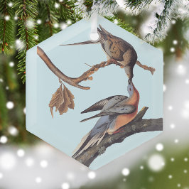 Audubon Pair Kissing Passenger Pigeons Julgransdekoration