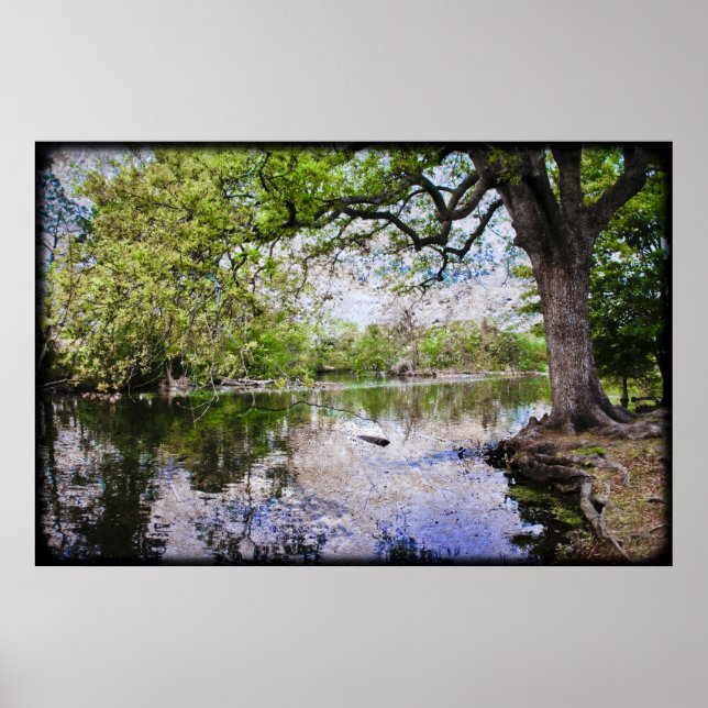 Audubon Park Poster (Framsidan)