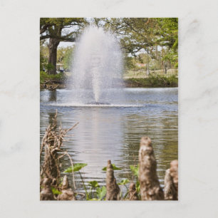 Audubon Park Vykort