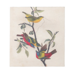 Audubon Pavisserligen Bunting Bird Wildlife Anteckningsblock