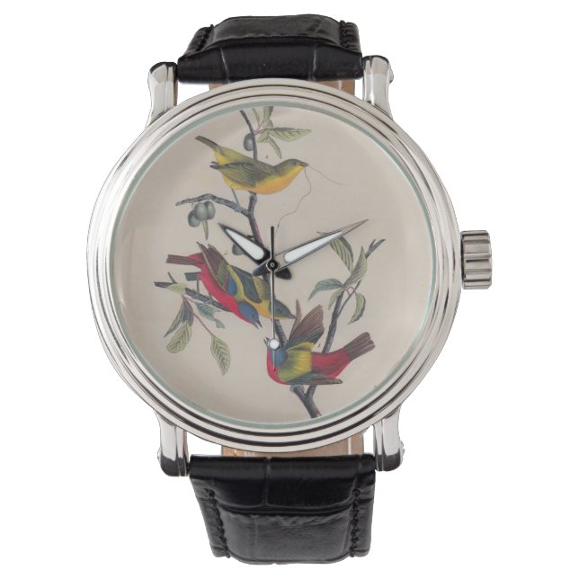 Audubon Pavisserligen Bunting Bird Wildlife Armbandsur (Framsida)