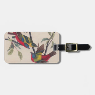 Audubon Pavisserligen Bunting Bird Wildlife Bagagebricka