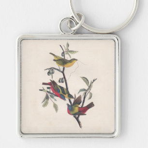 Audubon Pavisserligen Bunting Bird Wildlife Fyrkantig Silverfärgad Nyckelring