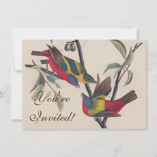 Audubon Pavisserligen Bunting Bird Wildlife Inbjudningar (Framsida)