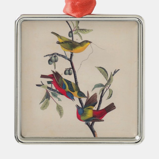 Audubon Pavisserligen Bunting Bird Wildlife Julgransprydnad Metall (Framsidan)