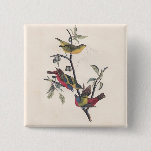 Audubon Pavisserligen Bunting Bird Wildlife Knapp (Framsida)