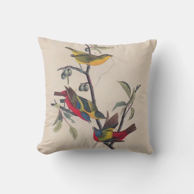 Audubon Pavisserligen Bunting Bird Wildlife Kudde (Framsida)