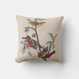 Audubon Pavisserligen Bunting Bird Wildlife Kudde