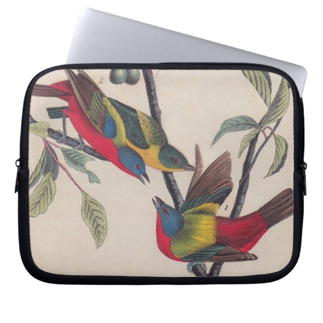 Audubon Pavisserligen Bunting Bird Wildlife Laptop Sleeve (Framsidan)