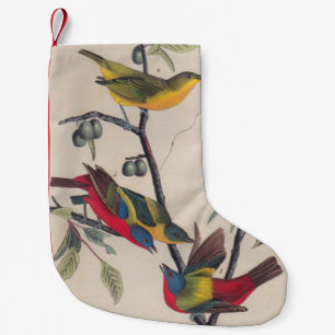 Audubon Pavisserligen Bunting Bird Wildlife Liten Julstrumpa