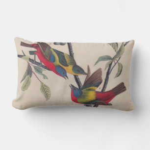 Audubon Pavisserligen Bunting Bird Wildlife Lumbarkudde