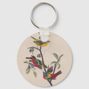 Audubon Pavisserligen Bunting Bird Wildlife Nyckelring