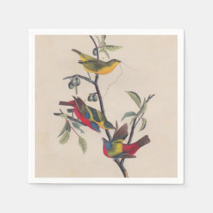 Audubon Pavisserligen Bunting Bird Wildlife Pappersservett