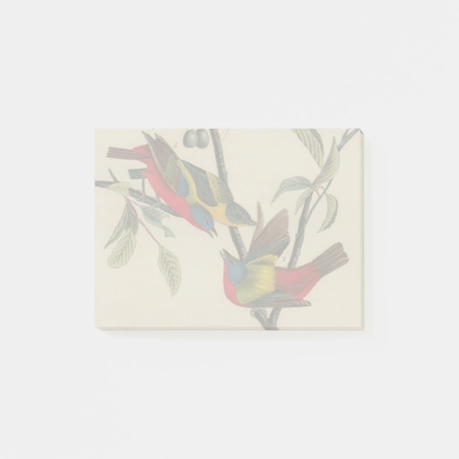 Audubon Pavisserligen Bunting Bird Wildlife Post-it Block (Framsida)