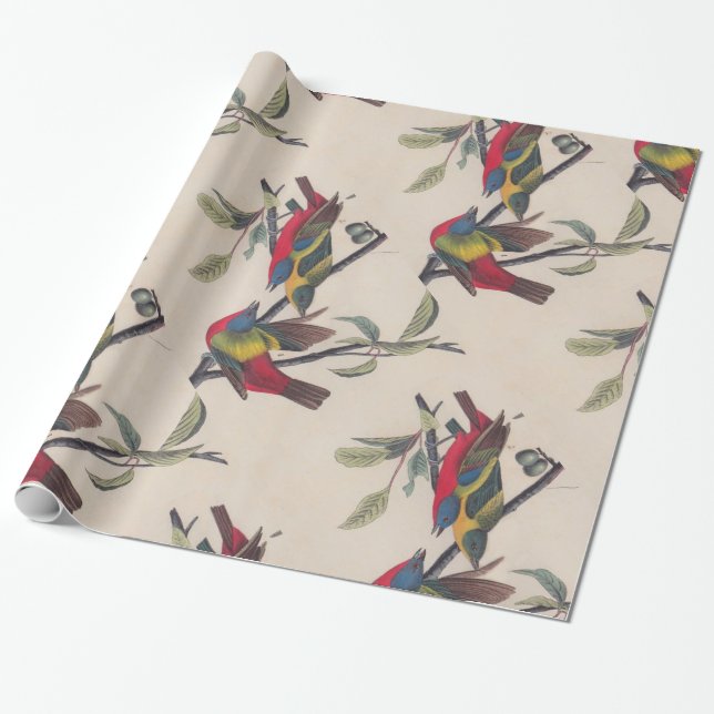 Audubon Pavisserligen Bunting Bird Wildlife Presentpapper (Utrullad)