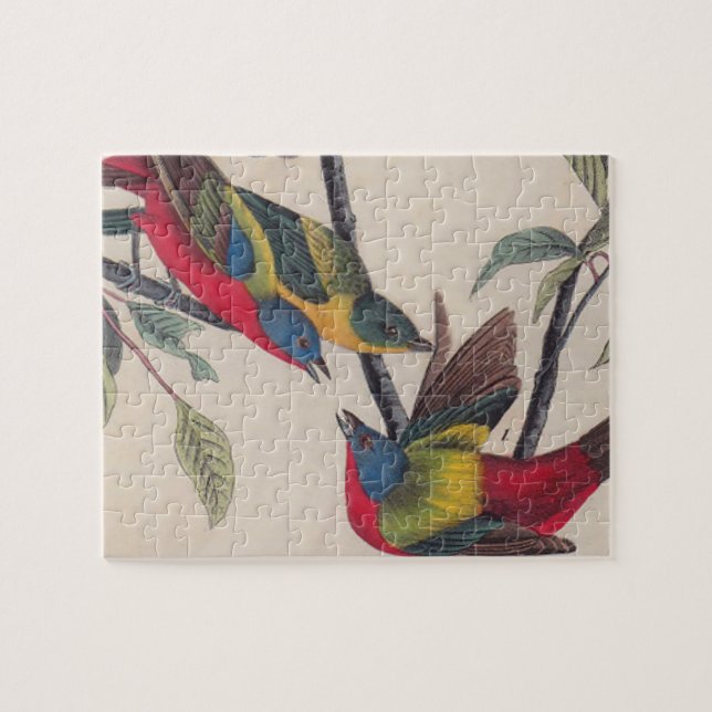 Audubon Pavisserligen Bunting Bird Wildlife Pussel (Horisontell)