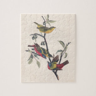 Audubon Pavisserligen Bunting Bird Wildlife Pussel