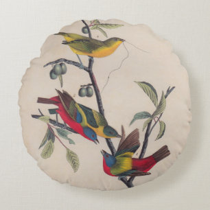 Audubon Pavisserligen Bunting Bird Wildlife Rund Kudde