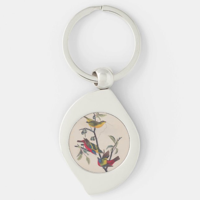 Audubon Pavisserligen Bunting Bird Wildlife Swirl Silverfärgad Nyckelring (Framsidan)